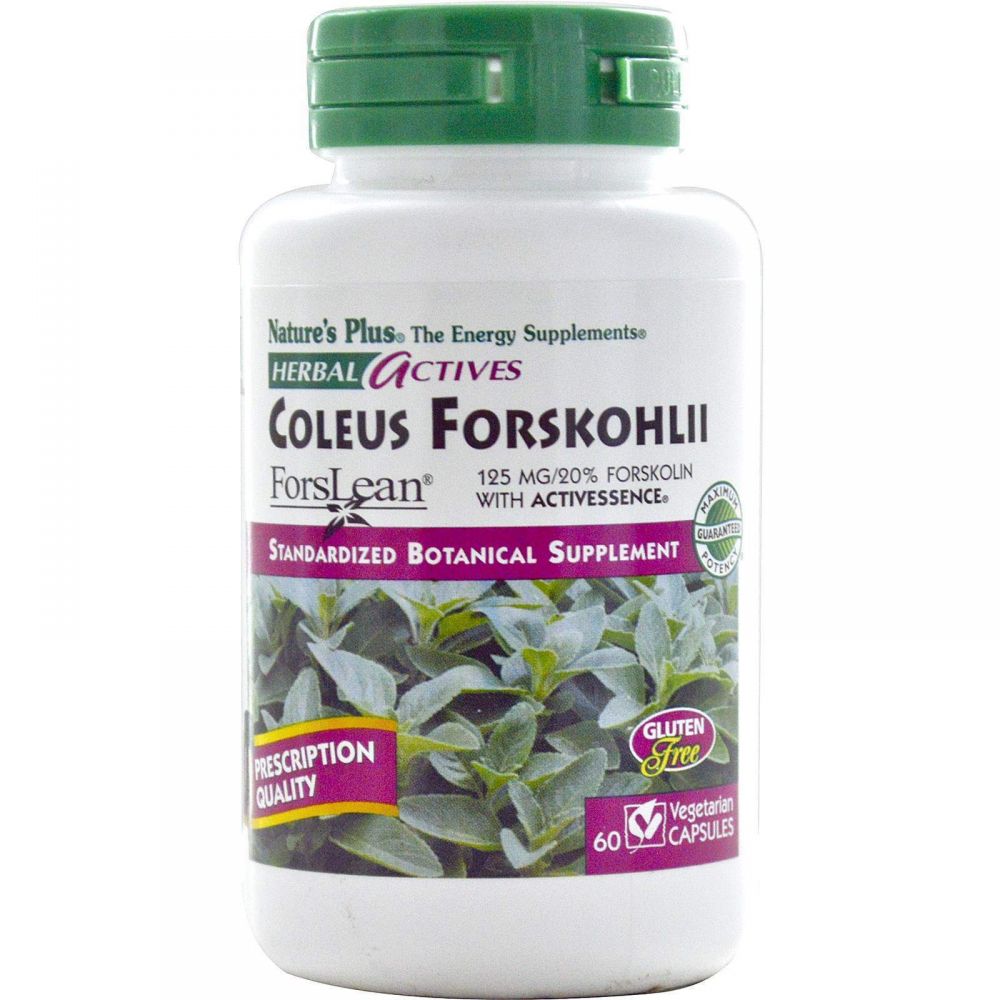 Форсколин, Coleus Forskohlii, Nature's Plus, Herbal Actives, 125 мг, 60 капсул