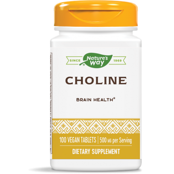 Холін, Choline, Nature's Way, 500 мг, 100 таблеток