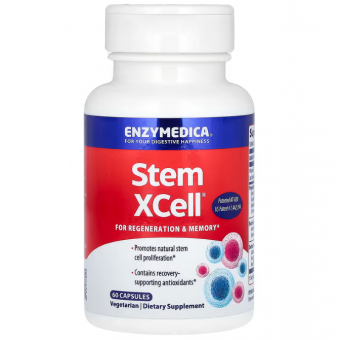 Ферменты для мозга, Stem XCell, Enzymedica, 60 капсул