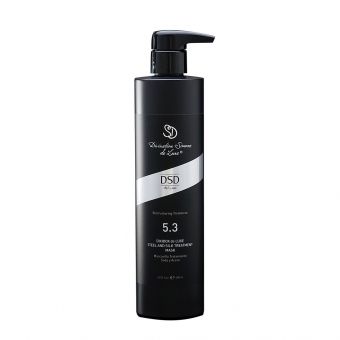 5.3 DIXIDOX STEEL AND SILK TREATMENT MASK (500 ML)