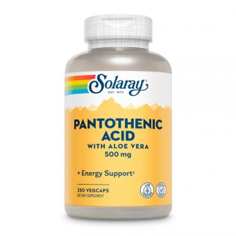 Pantothenic Acid 500mg - 250 veg caps (До 02.25)