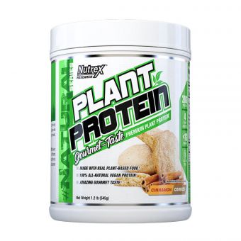 Plant Protein - 567g Cinnamon Cookies