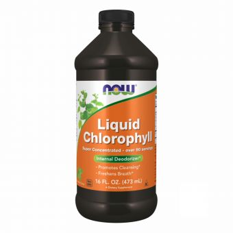 Chlorophyll Liquid Mint - 16 oz