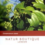 Чай Кориця та чорний перець Natur Boutique