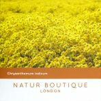 Чай Хризантема Natur Boutique гіпертонія, детокс, антистрес