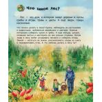 Ліс. Енциклопедія дошкільника (російською мовою)