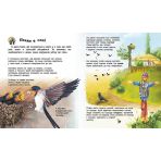 Птахи. Енциклопедія дошкільника