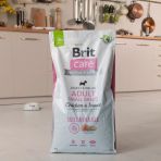 Сухой корм Brit Care Dog Sustainable Adult Small Breed для собак малых пород, с курицей и насекомыми, 7 кг