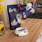 Сухой корм Brit Premium Cat by Nature Sterilised для стерилизованных кошек, с курицей, 8 кг