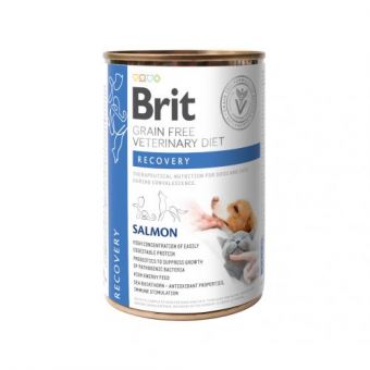 Влажный корм Brit GF VetDiets Recovery для собак и кошек, в период выздоровления, с лососем, 400 г