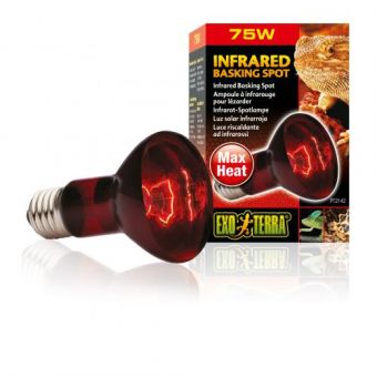 Лампа Exo Terra Infrared Basking Spot для террариумных животных, инфракрасная, 75 W, E27 (для обогрева)