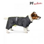 Дождевик Pet Fashion «Rain» для такс, размер M, серый