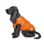 Жилет Pet Fashion «Spring» для собак, размер XS, оранжевый