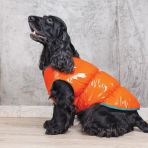 Жилет Pet Fashion «Spring» для собак, размер XS, оранжевый