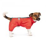 Дождевик Pet Fashion «Rain» для такс, размер S, красный