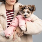 Костюм Pet Fashion «Judy» для дівчаток, розмір M, пудровий