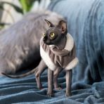 Свитер Pet Fashion «Tom» для кота, размер M, капучино