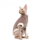 Свитер Pet Fashion «Tom» для кота, размер S, капучино