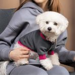 Толстовка Pet Fashion «Bim» для собак, розмір XS2, сіра