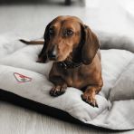 Лежак-трансформер Pet Fashion «Simon» для собак, 54х66х20 см, серый/черный