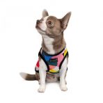 Борцовка Pet Fashion «Cool» для собак, размер S, с принтом