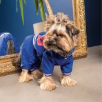 Дождевик Pet Fashion «Silver» для собак, размер XS-2, синий