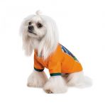 Футболка Pet Fashion «Art» для собак, размер XS2, оранжевая