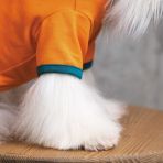 Футболка Pet Fashion «Art» для собак, размер XS, оранжевая