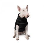 Жилет Pet Fashion «Big Boss» для собак, размер 2XL, черный