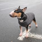 Жилет Pet Fashion «E.Vest» для собак, размер SM, серый