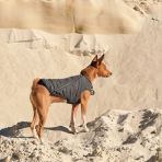 Жилет Pet Fashion «E.Vest» для собак, размер SM, серый