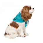 Бандана Pet Fashion «Weekend» для собак, размер XS-S, голубая