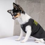 Борцовка Pet Fashion «FBI» для собак, размер M, черная