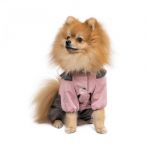 Дождевик Pet Fashion «Ariel» для девочки, размер M, розовый