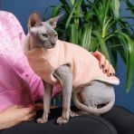 Свитер Pet Fashion «Cat» для кота, размер XXS, персик
