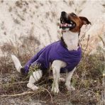 Жилет Pet Fashion «E.Vest» для собак, размер XL, фиолетовый