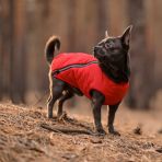 Жилет Pet Fashion «E.Vest» для собак, размер L, красный