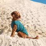 Жилет Pet Fashion «E.Vest» для собак, размер L, морская волна
