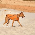 Жилет Pet Fashion «E.Vest» для собак, размер XS, оранжевый