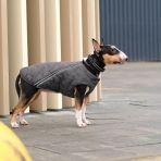 Жилет Pet Fashion «E.Vest» для собак, размер L, серый