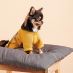 Кардиган Pet Fashion Denis для собак размер XS2 желтый