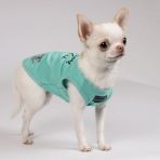 Борцовка Pet Fashion «Puppy» для собак, размер S, мятная