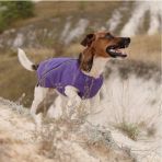 Жилет Pet Fashion «E.Vest» для собак, размер XS2, фиолетовый