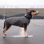 Жилет Pet Fashion «E.Vest» для собак, размер XS2, серый