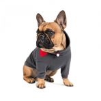 Худі Pet Fashion «Snoodie» для собак, розмір S, сірий
