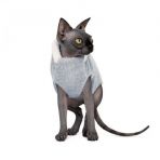 Свитер Pet Fashion «Cat» для кота, размер S, меланж