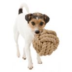 Игрушка Trixie Мяч Be Nordic канат для собак, d-18 см