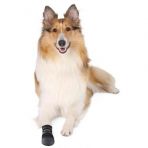 Ботинки Trixie «Walker Care» для собак, полиэстер, размер L, 2 шт (черные)