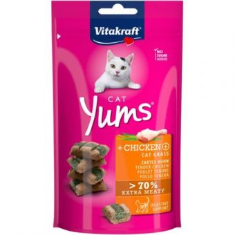Подушечки Vitakraft Yums для кошек, курица и кошачья мята, 40 г