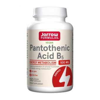 Pantothenic Acid B5 500 mg (100 caps)